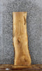 Thumbnail for Ash Live Edge Shelf/Bench Slab 1789