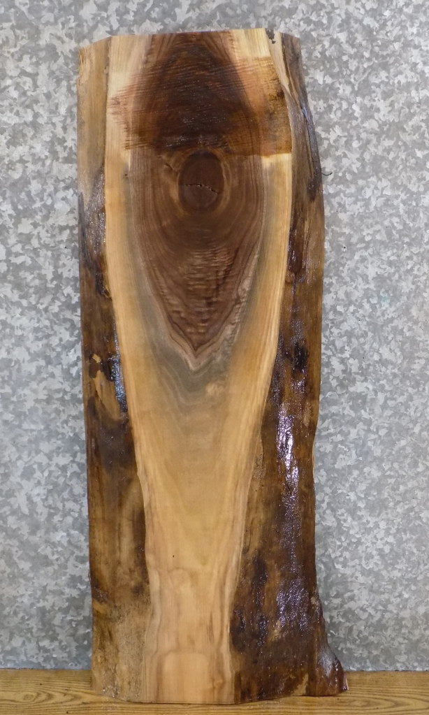 Natural Edge Black Walnut Side/Sofa Table Top Wood Slab 1790