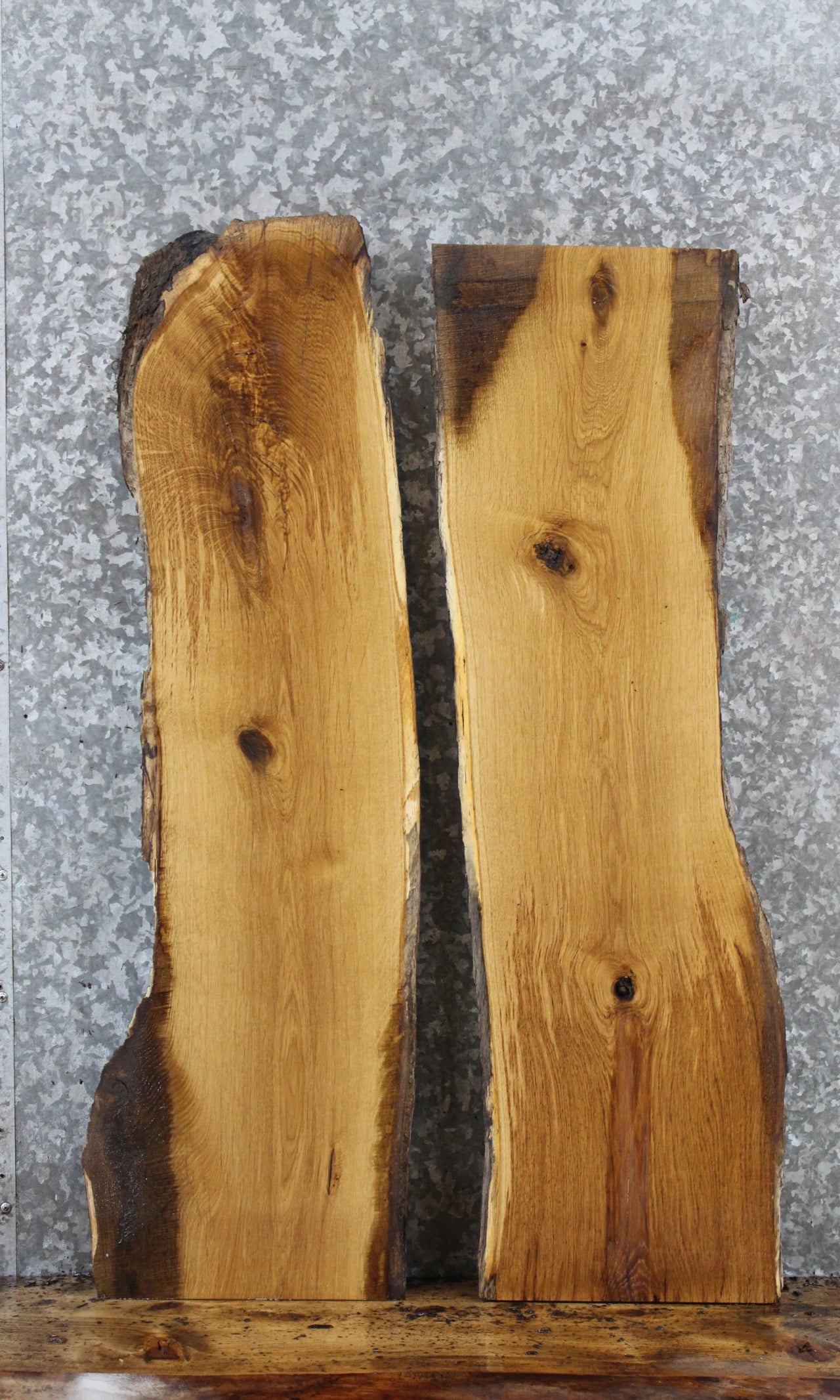 2- Live Edge White Oak Taxidermy Mounts/Wall Shelves 1791-1792
