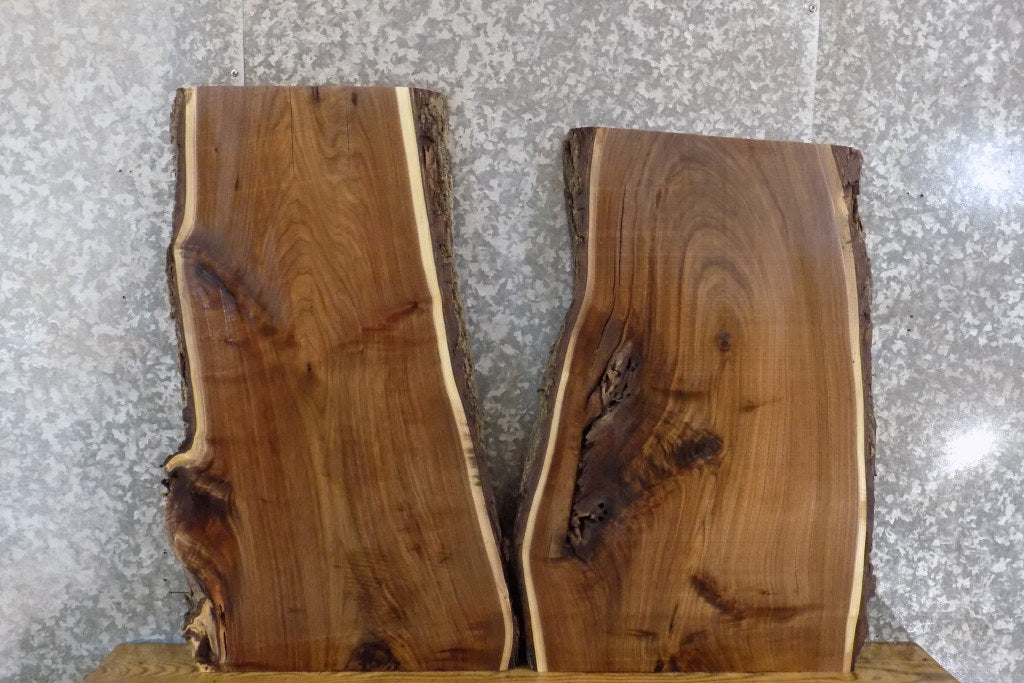 2- Live Edge Black Walnut Rustic Floating Vanity Slabs CLOSEOUT 1792-1793