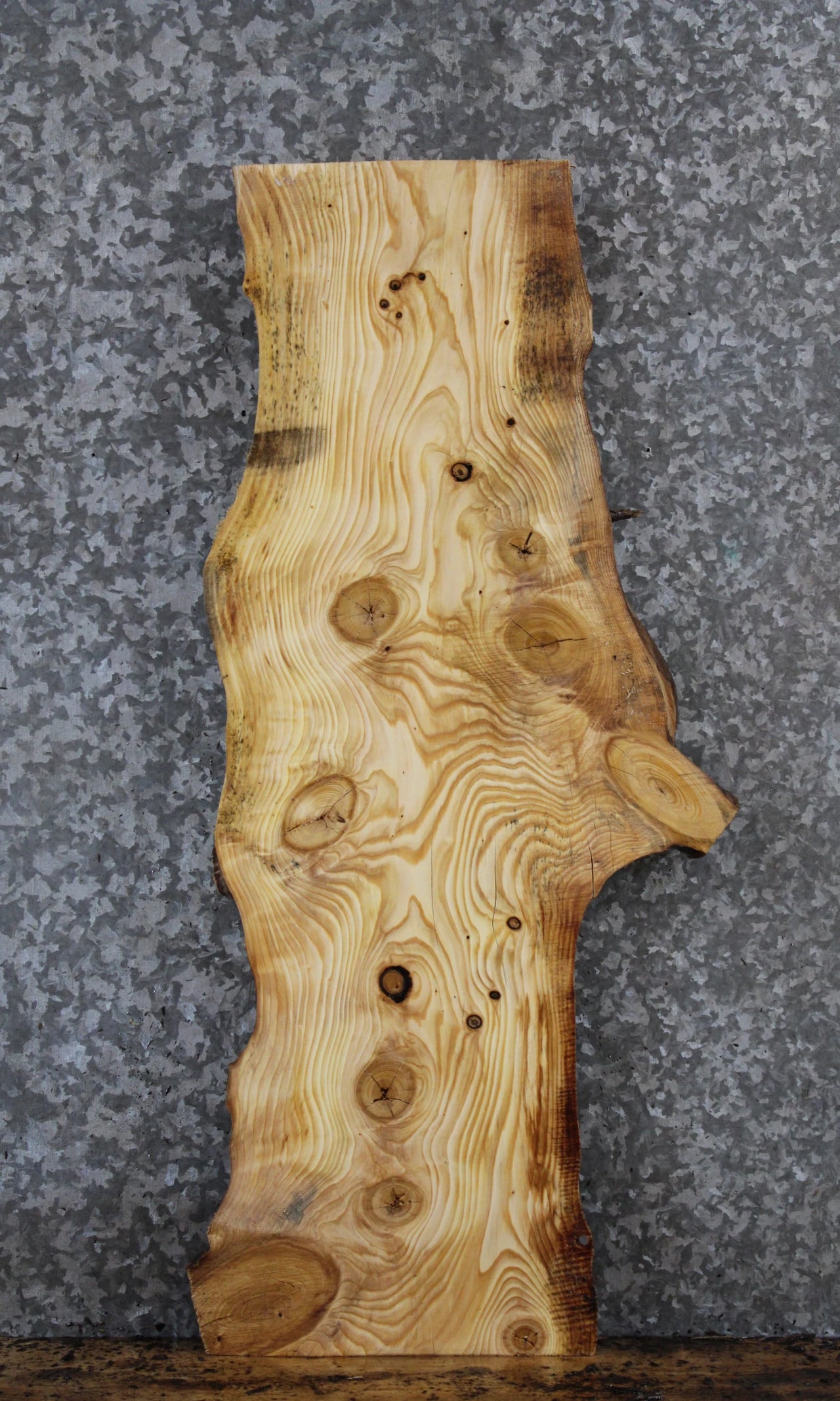 Live Edge Knotty Pine Console/Coffee Table Slab 1793