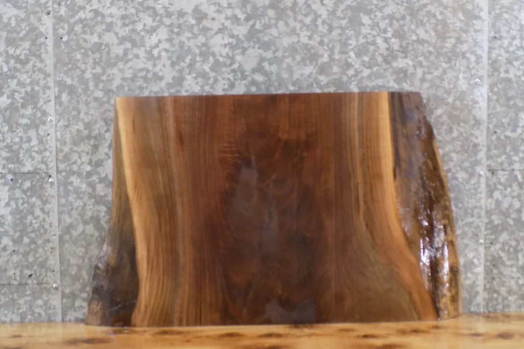 Live Edge Reclaimed Black Walnut End/Accent Table Top Slab 13292