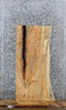 Thumbnail for Spalted Maple Live Edge Coffee Table/Bench Slab 1796