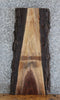 Thumbnail for Live Edge Black Walnut Side/Sofa Table Top 1800