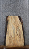 Thumbnail for Spalted Maple Live Edge Coffee/End Table Slab 1802