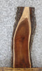 Thumbnail for Live Edge Black Walnut Taxidermy Mount/Side Table Slab 1803
