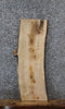 Thumbnail for Maple Live Edge Charcuterie/Shelf Slab 1806