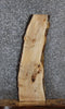 Thumbnail for Maple Live Edge Charcuterie/Taxidermy/Shelf Slab 1808