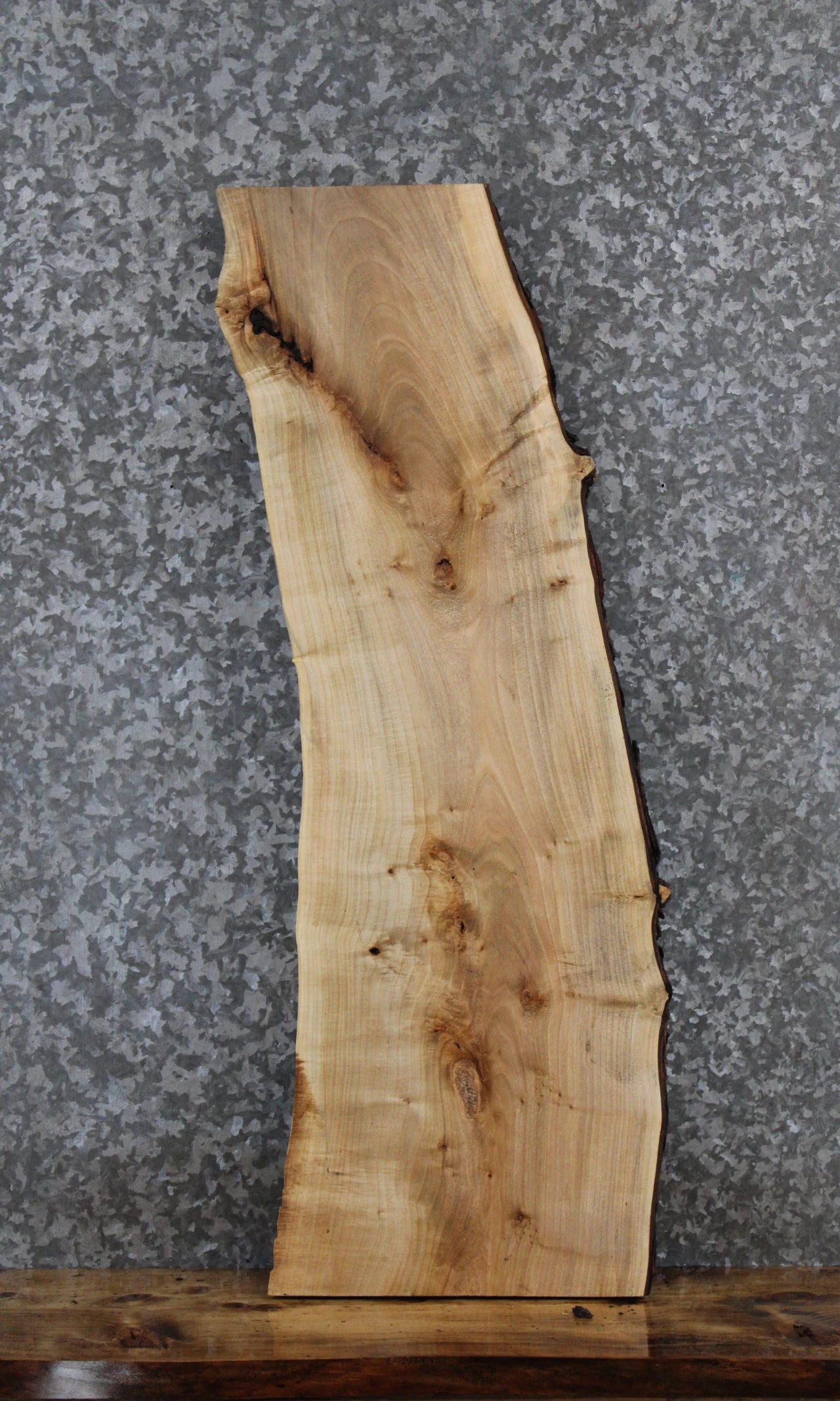Maple Live Edge Charcuterie/Taxidermy/Shelf Slab 1808