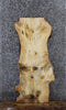Thumbnail for Pine Live Edge Bench/End Table Slab 1809