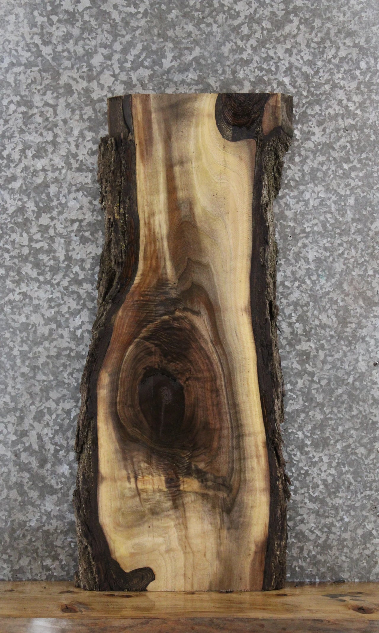 Black Walnut Live Edge End Table/Wall Art 1810