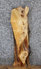 Thumbnail for Live Edge Knotty Pine Side Table Slab/Wall Shelf 1810