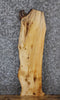 Thumbnail for Live Edge Knotty Pine Side Table Slab/Wall Shelf 1810