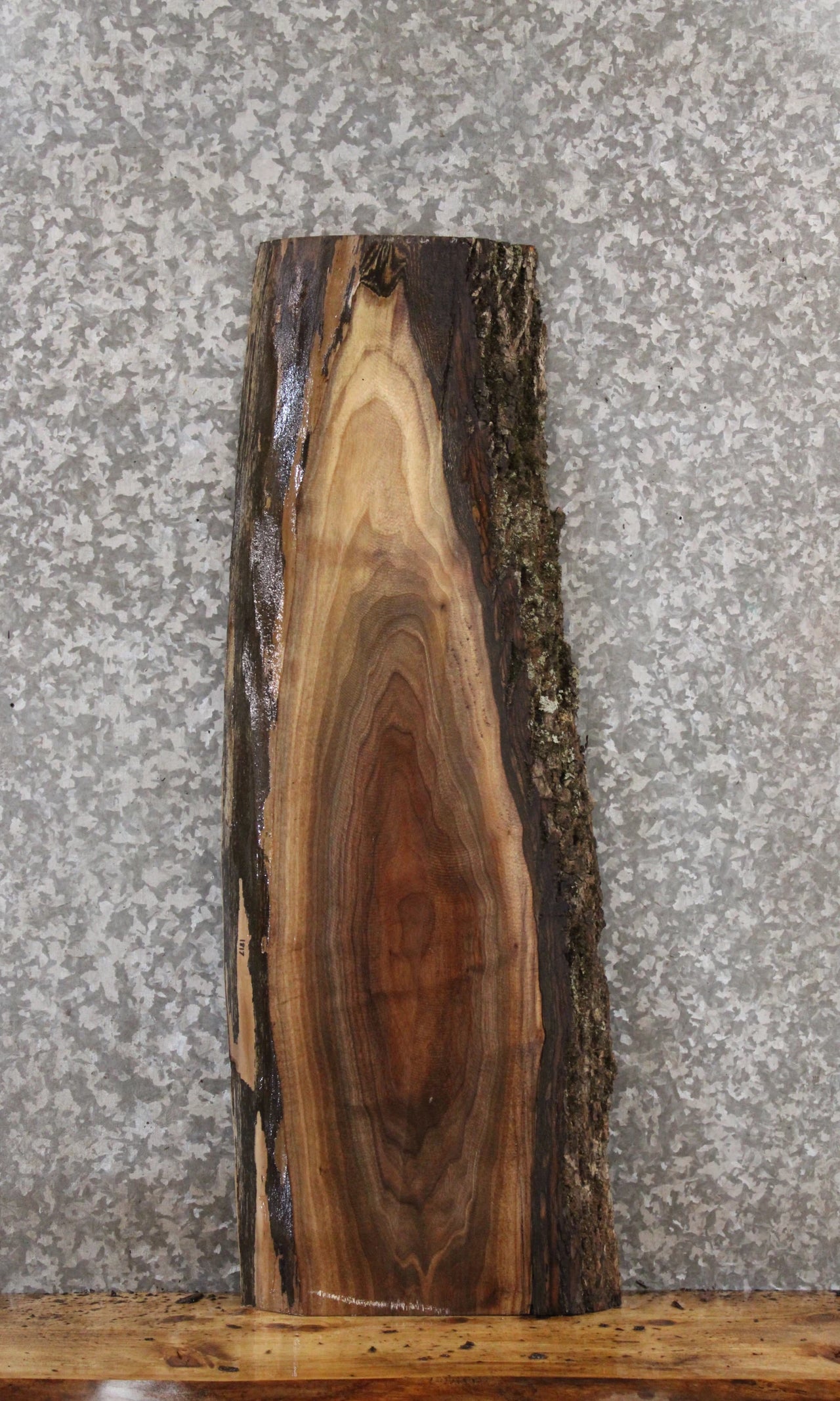 Black Walnut Live Edge Slab, Wall Shelf, Rustic Wood 1817