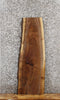 Thumbnail for Black Walnut Live Edge Slab, Wall Shelf, Rustic Wood 1817