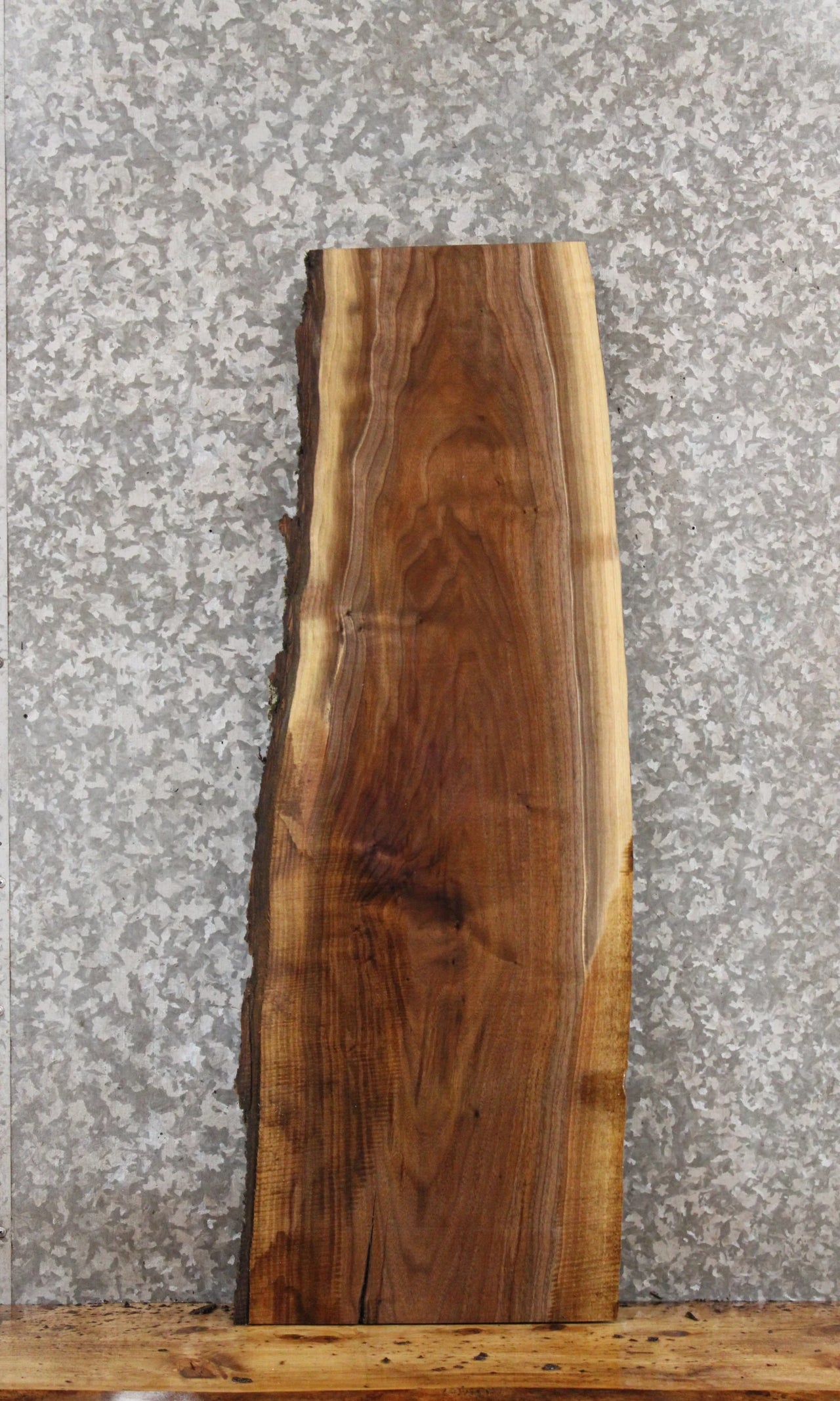 Black Walnut Live Edge Slab, Wall Shelf, Rustic Wood 1817