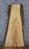 Thumbnail for Live Edge Ash Side Table Slab/Taxidermy Mount 1818