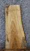 Thumbnail for Live Edge Ash Side Table Slab/Taxidermy Mount 1818