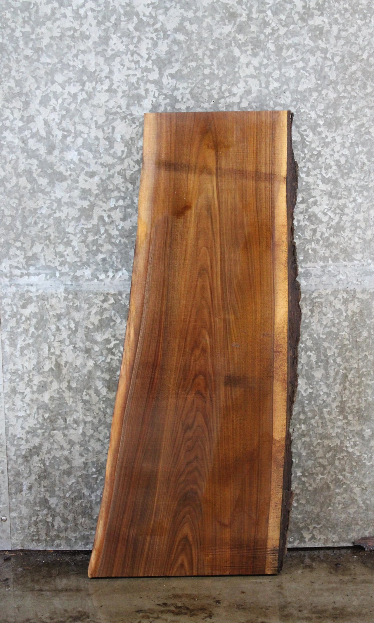 Black Walnut Live Edge Charcuterie/Taxidermy Slab 1819