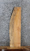 Thumbnail for Spalted Maple Live Edge Charcuterie/Shelf Slab 1823