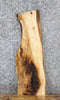Thumbnail for Live Edge Hackberry Wall Shelf/Side Table Top 1823