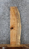 Thumbnail for Spalted Maple Live Edge Charcuterie/Shelf Slab 1823