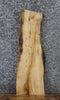 Thumbnail for Live Edge Hackberry Wall Shelf/Side Table Top 1823