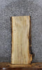 Thumbnail for Spalted Maple Live Edge Bench/End Table Slab 1825