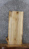 Thumbnail for Spalted Maple Live Edge Bench/End Table Slab 1825