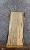 Thumbnail for Spalted Maple Live Edge Bench/End Table Slab 1826