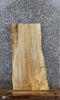 Thumbnail for Spalted Maple Live Edge Bench/End Table Slab 1826