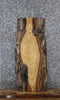 Thumbnail for Ash Live Edge Charcuterie/End Table Slab 1830