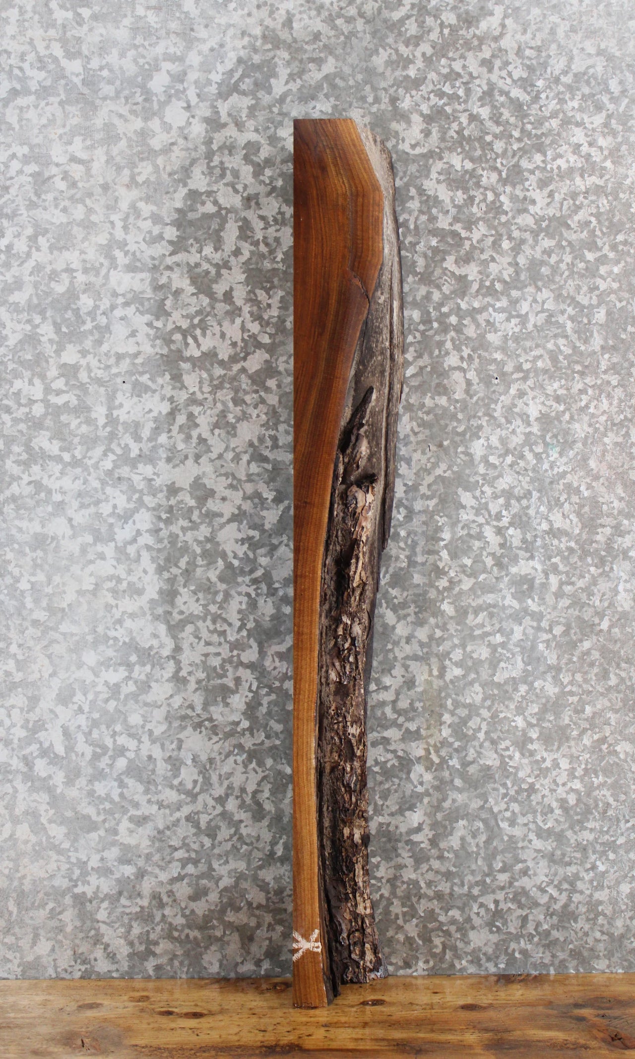 Live Edge Thick Cut Black Walnut Mantel Slab 1831