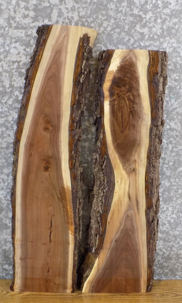 2- Reclaimed Live Edge Bark Black Walnut Floating Shelf Slabs 1832-1833