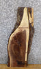 Thumbnail for Black Walnut Live Edge Bark Salvaged Side/Entry Table Top Slab 1838