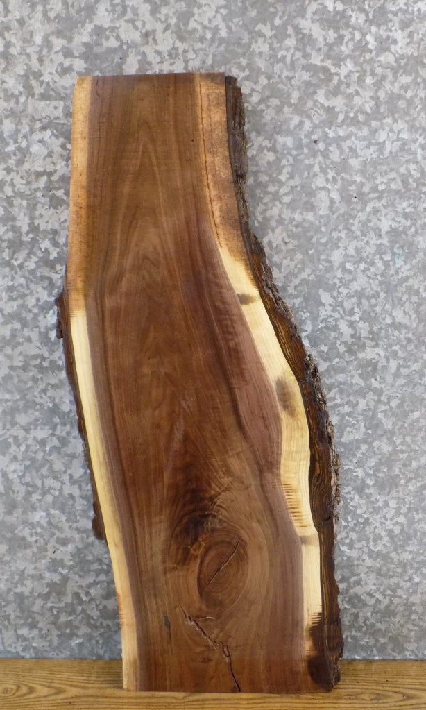 Black Walnut Live Edge Bark Salvaged Side/Entry Table Top Slab 1838