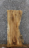 Thumbnail for Spalted Maple Live Edge Mantel/Foot Stool Slab 1841