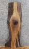 Thumbnail for Live Edge Black Walnut Mantle/Bar Top/Kitchen Counter Slab 1842