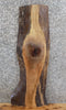 Thumbnail for Live Edge Black Walnut Mantle/Bar Top/Kitchen Counter Slab 1842