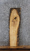 Thumbnail for Natural Edge Ash Book Shelf Table Top Slab 764