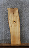 Thumbnail for Natural Edge Ash Book Shelf Table Top Slab 764