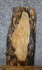 Thumbnail for Live Edge Spalted Maple Side/Sofa Table Top Slab 1843