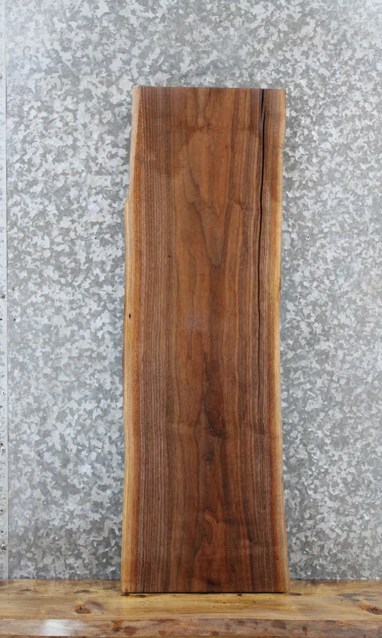 Walnut Live Edge Charcuterie/Shelf/Taxidermy Slab 1843