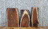 Thumbnail for 3- Walnut Live Edge Charcuterie/Taxidermy Slabs 1851-1853