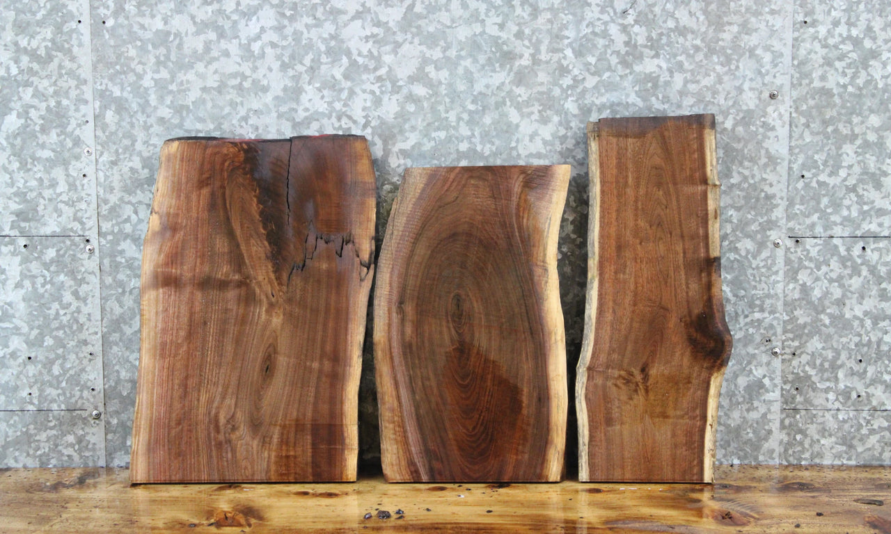 3- Walnut Live Edge Charcuterie/Taxidermy Slabs 1851-1853
