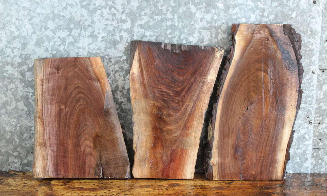 3- Live Edge Black Walnut Charcuterie Boards/End Table Tops 1869-1871