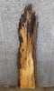 Thumbnail for Rustic Live Edge Maple End/Accent/Coffee Table Top Slab 187