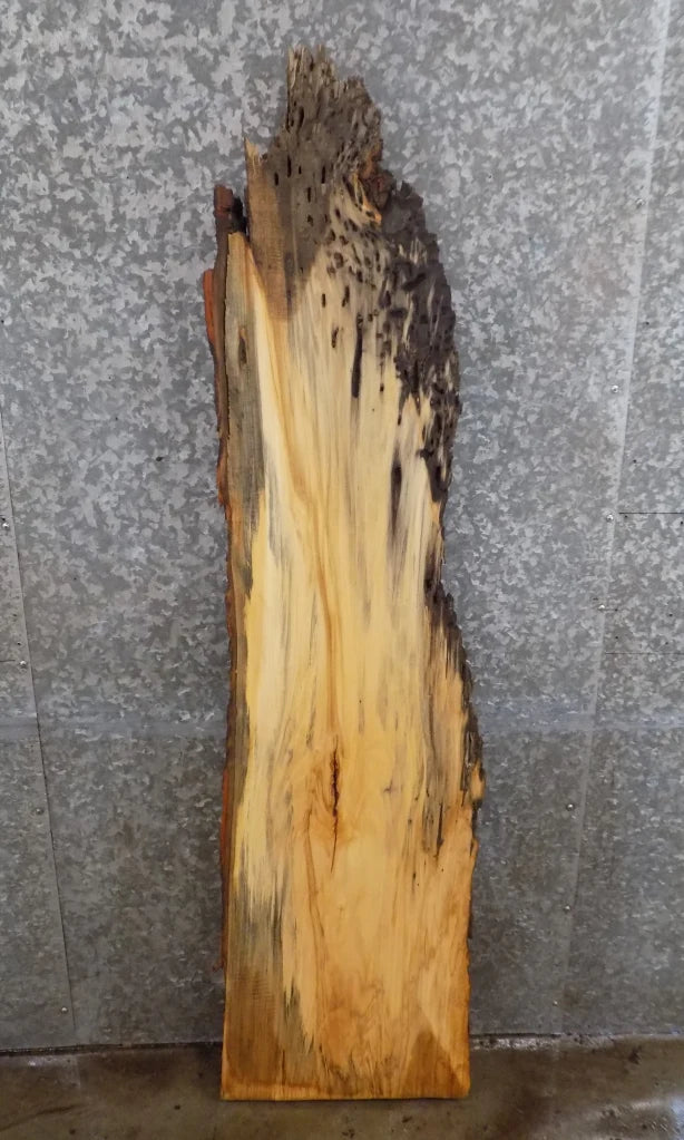 Rustic Live Edge Maple End/Accent/Coffee Table Top Slab 187