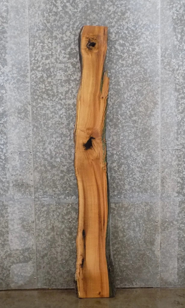 Live Edge Red Oak Bar Top/Mantle/Wall Shelf Slab 188