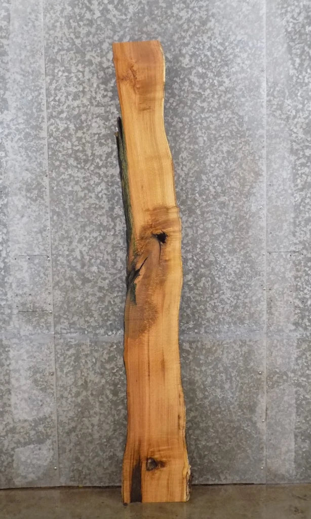 Live Edge Red Oak Bar Top/Mantle/Wall Shelf Slab 188